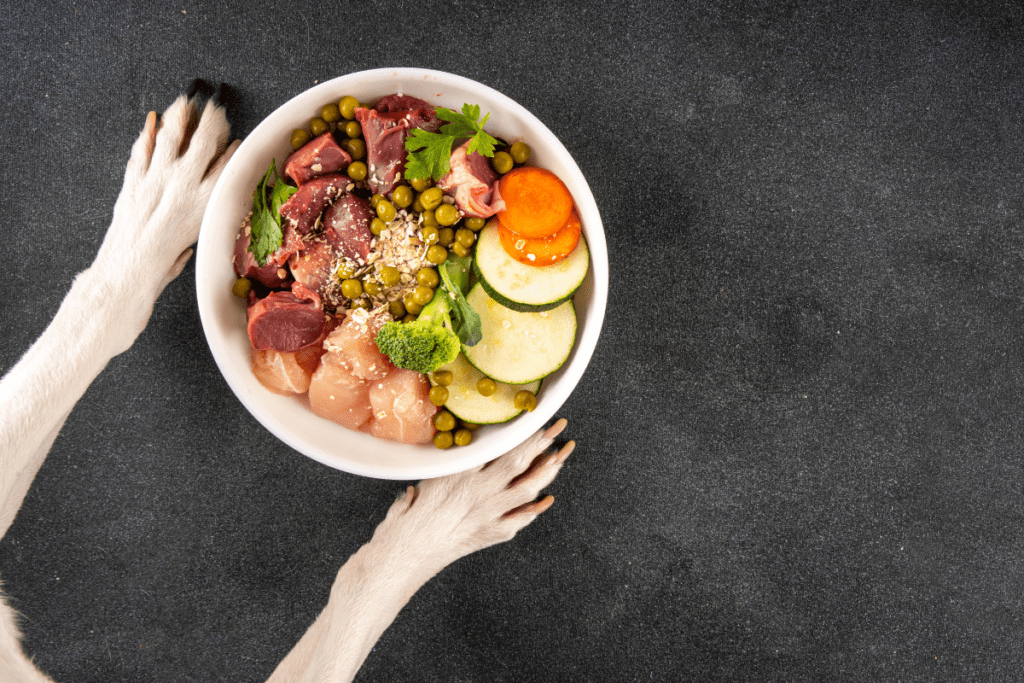 Alimentação Natural vs. Ração