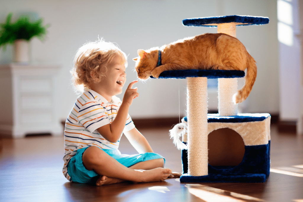 Como Criar um Ambiente Seguro para Família e Animais